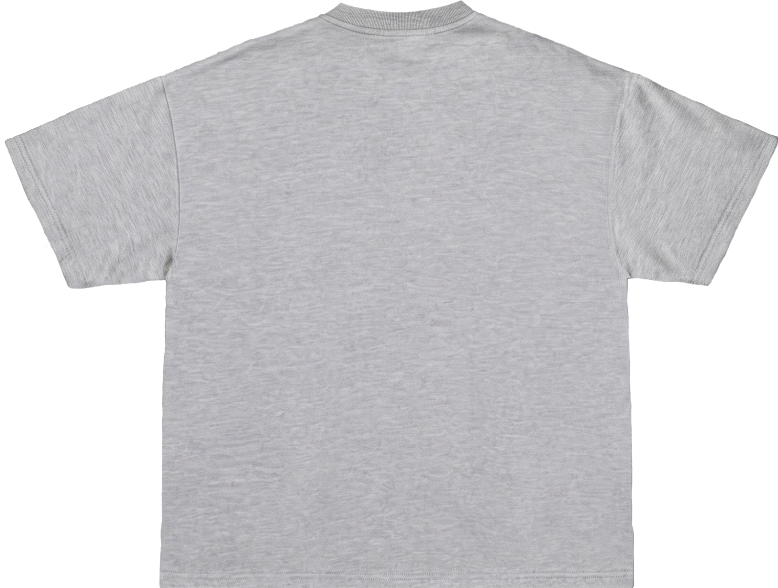 LE T-SHIRT - GRIS